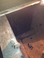 IMG 0207 (1)
